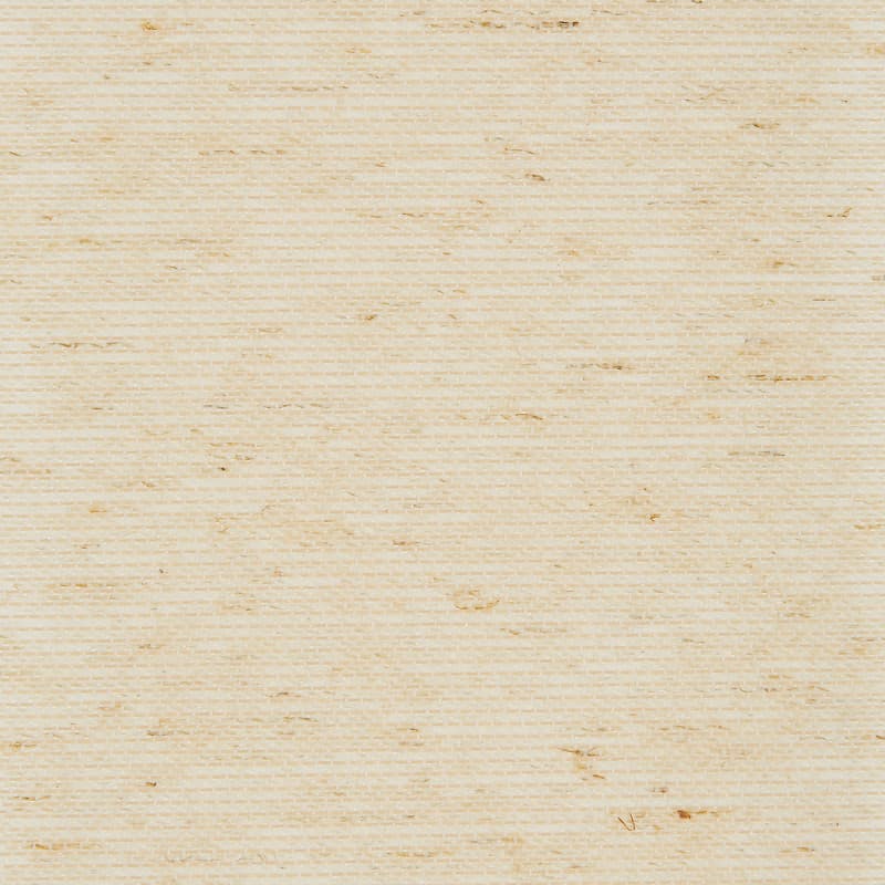 Beige woven grasscloth wallpaper, horizontal fine ribbed weave with scattered darker fibers, lying flat and evenly lit in a close-up view, serving as a neutral interior wall covering.