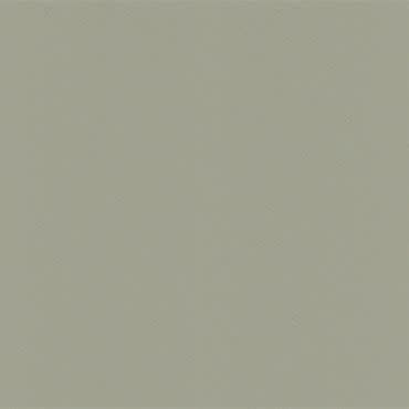 Pale grayâ€‘green textured wall surface (no window dressing), showing subtle brush or stucco texture; static and uniformly painted, close-up view suggesting an interior wall under soft, diffuse lighting.