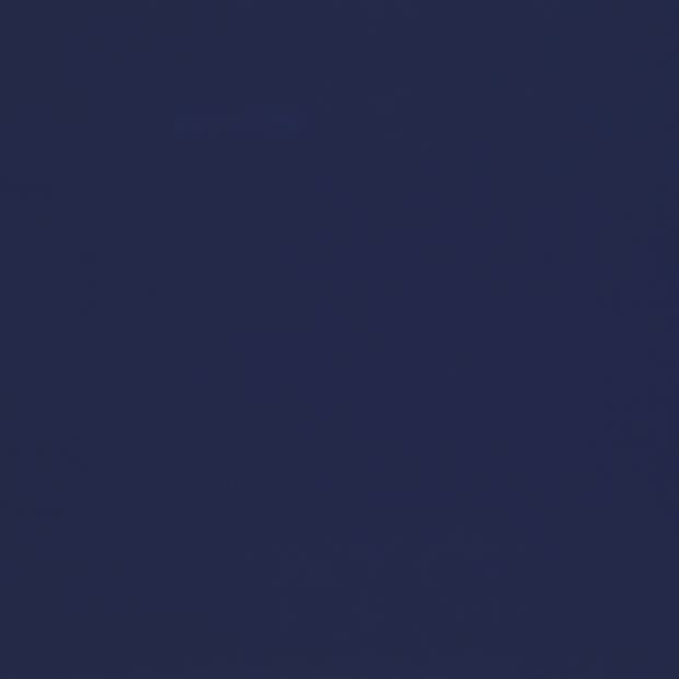 Solid navy-blue expanse fills the frame, uniformly colored and featureless, creating a flat, evenly lit field with no discernible objects, edges, or surrounding context visible.
