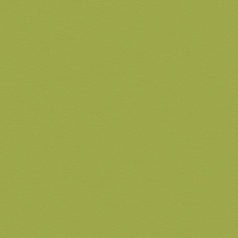 Lime-green textured surface â€” fills the frame, lying flat and uniform â€” no other objects or visible environment, evenly lit.