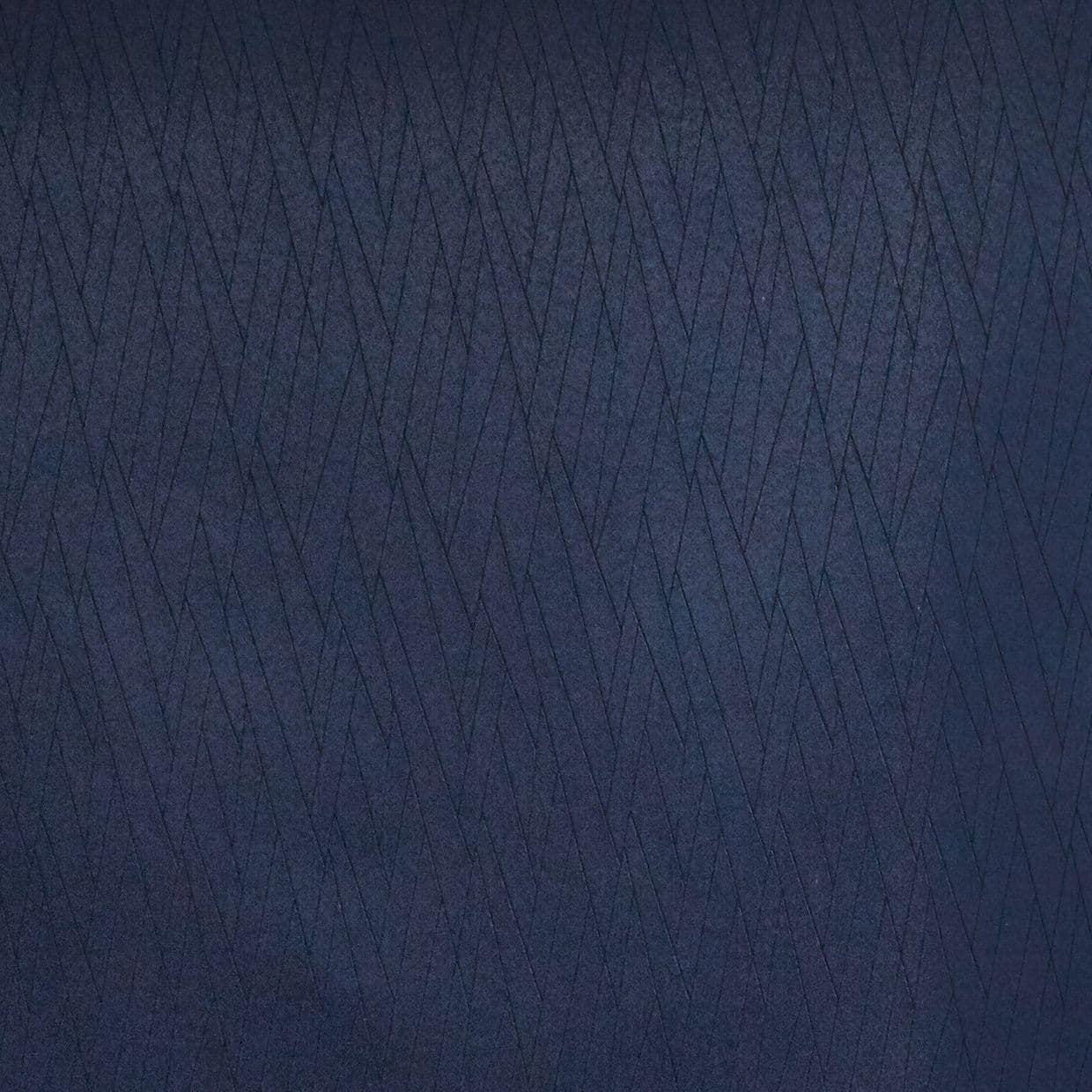 Prism Navy Conservatory Roller blind