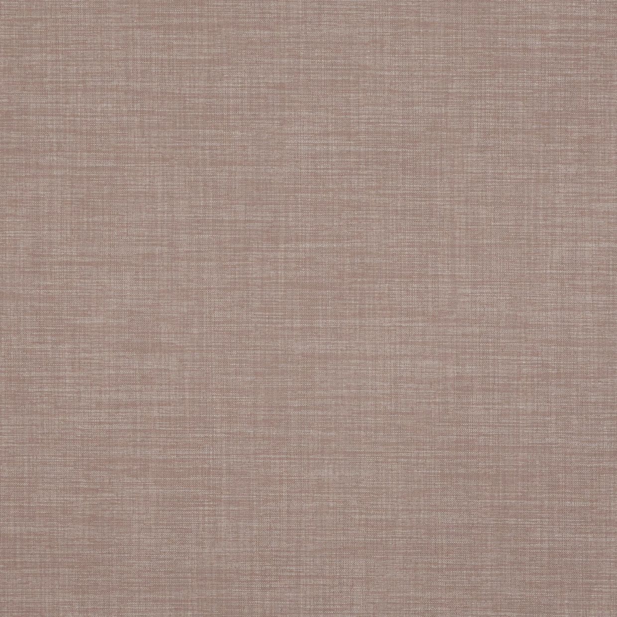 Hayden Blackout Ebony Roller Blind