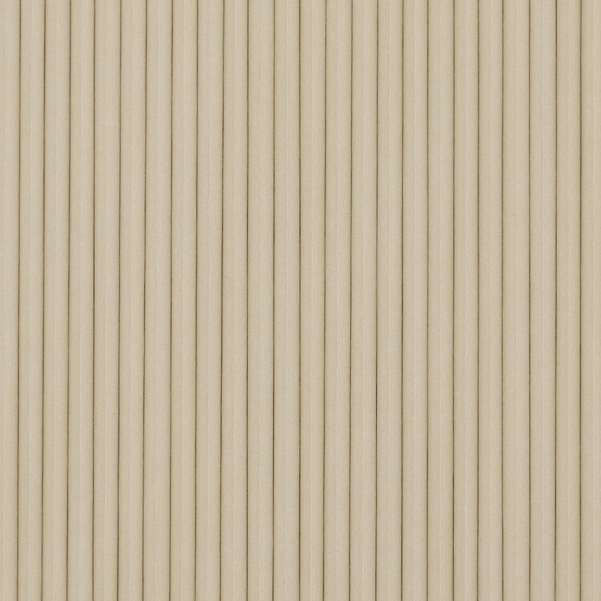 Light Seal Beige Blind Screen 01 Dual
