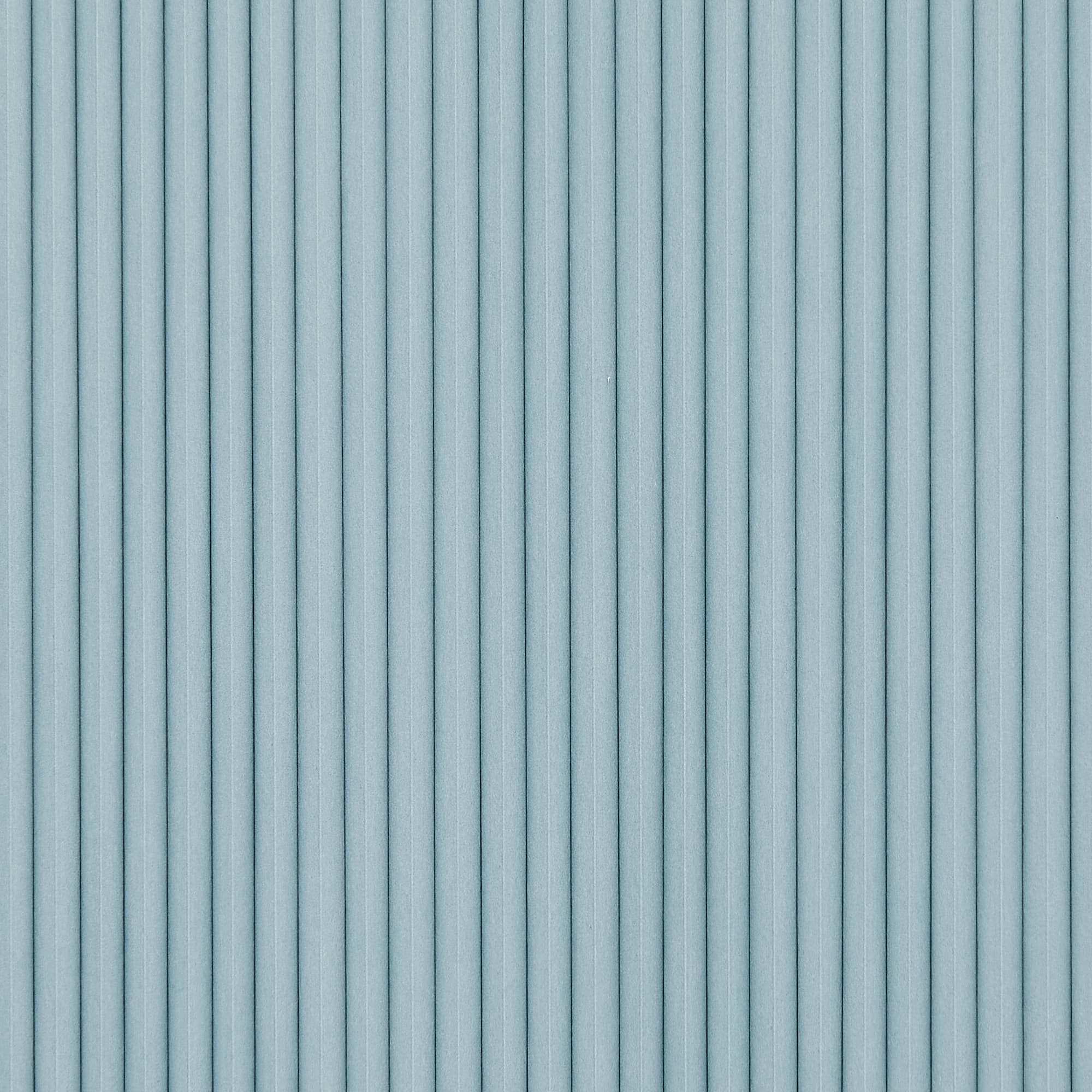 Light Seal Light Grey Blind Screen 01 Dual