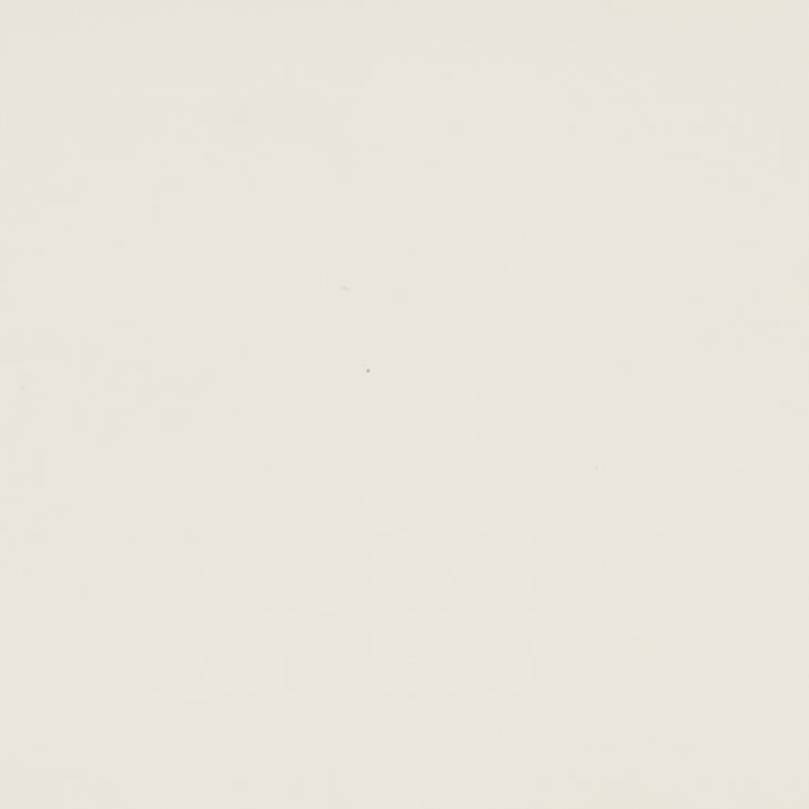 Pale cream wall surface displaying faint specks and subtle texture under soft, diffuse lighting, with no discernible furniture, windows, or other features.