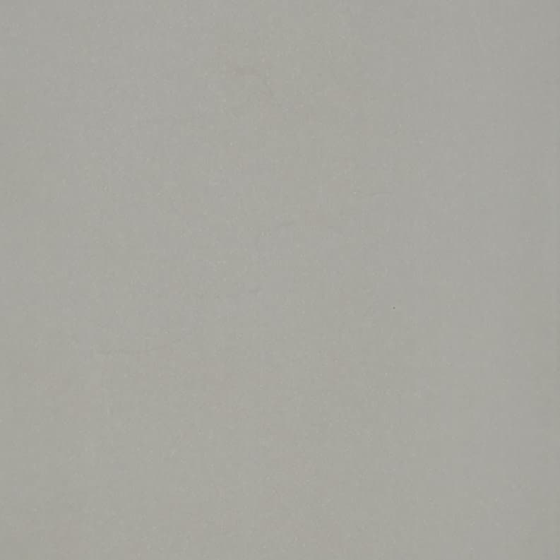 Smooth pale-gray wall, unadorned and matte, filling the frame; surface shows subtle speckling and faint shadowing; evenly lit, minimal interior close-up with no visible features or furnishings.