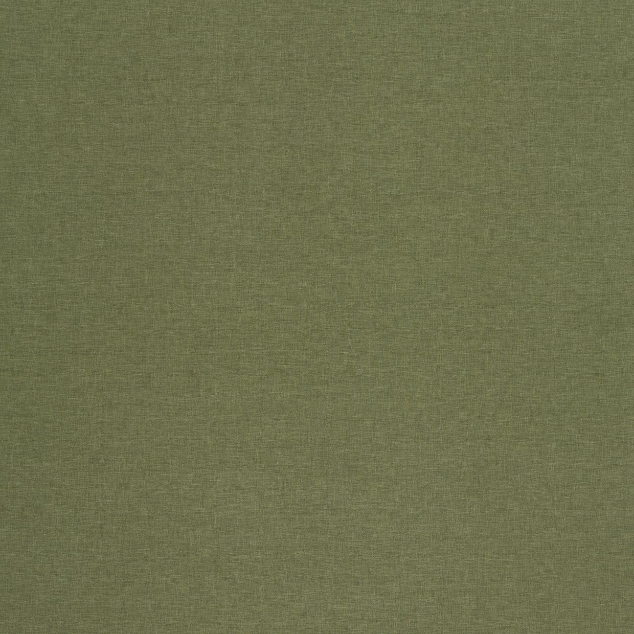 Harper Dill Curtain