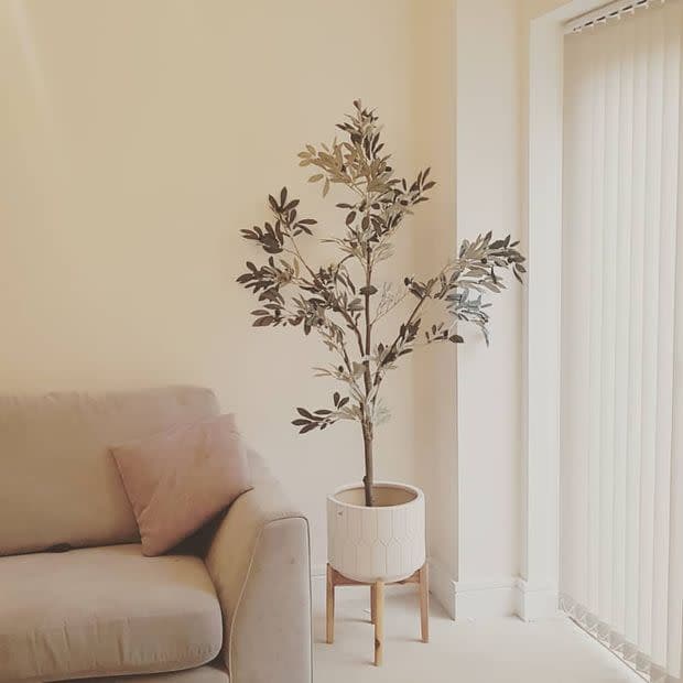 Vertical blinds drawn, filtering soft daylight through slats; neutral living room with beige sofa, pink cushion and tall potted olive-like tree on a wooden stand beside the window.
