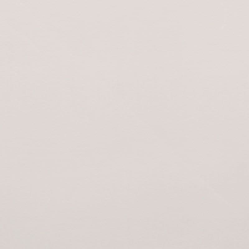 Pale, slightly textured beige wall filling the frame, unadorned and evenly lit, presenting a uniform neutral background with soft diffuse lighting and no visible furniture, windows, or objects.