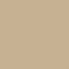 Beige square field fills the frame, uniformly colored with subtle fine-grain texture; no distinct objects, patterns, or text, appearing as a flat neutral background.