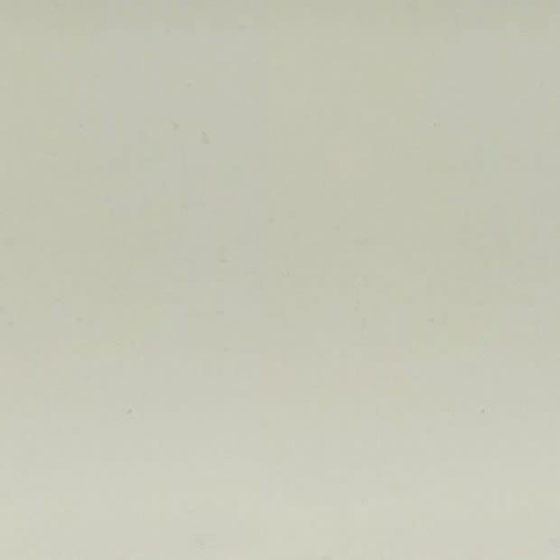 Pale cream textured wall occupying the frame, showing a faint vertical seam and subtle speckling; evenly lit, suggesting soft diffuse lighting in a neutral interior or studio setting.