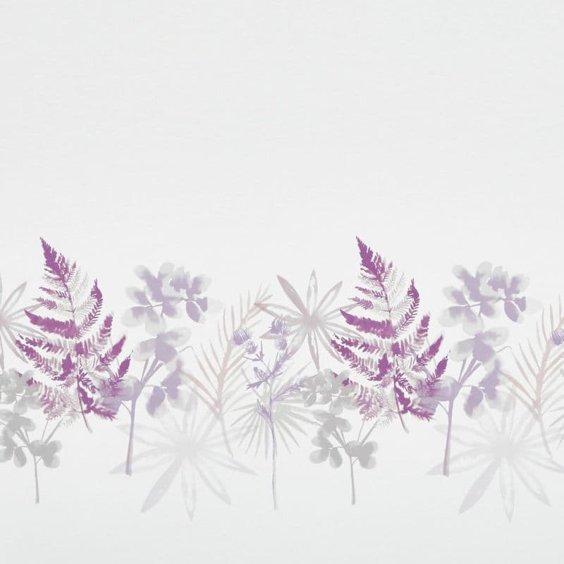 Watercolor botanical border of purple fern fronds and pale gray flowers — overlapping, translucent and softly faded — placed along the lower edge of a white textured background in even, diffuse light.