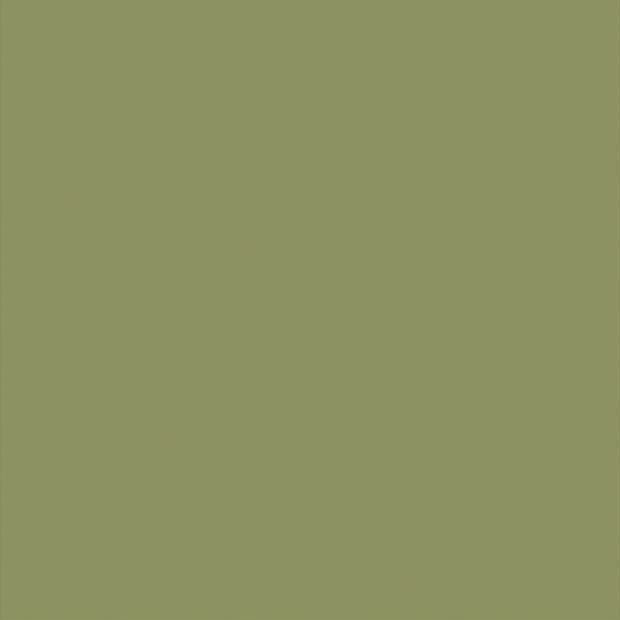 Olive-green panel fills the entire frame, displaying a uniform, untextured surface; plain, featureless field under neutral lighting with no visible surroundings.