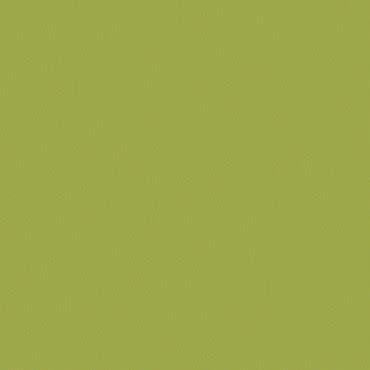 Solid olive-green textured surface filling the frame, appearing matte and evenly lit, functioning as a plain backdrop with faint grain but no discernible surroundings.