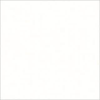 Blank white square (plain canvas) fills the frame, uniformly lit and featureless, with a faint gray border suggesting a centered panel against a neutral background.