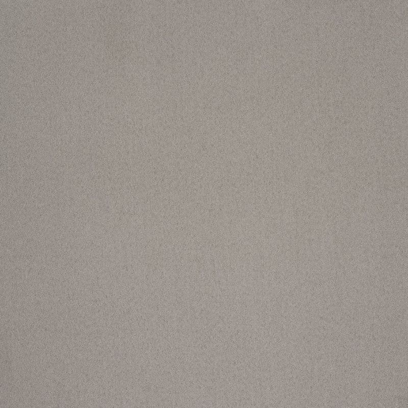 Light gray, fine-grain textured wall filling the frame; uniformly flat and unadorned, evenly lit by soft diffuse light, suggesting an interior surface with no visible windows or furnishings.