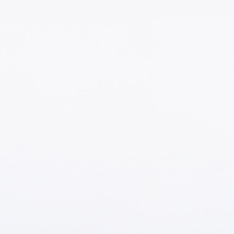Blank white sheet of paper lying flat, showing subtle textured grain; evenly lit and free of shadows, serving as a plain neutral backdrop or scanned surface in studio-like lighting.