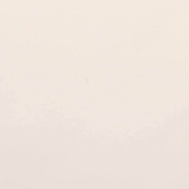 Off-white sheet of textured paper, blank and unmarked, lying flat and evenly lit against a neutral background with soft, diffuse lighting and no visible objects.