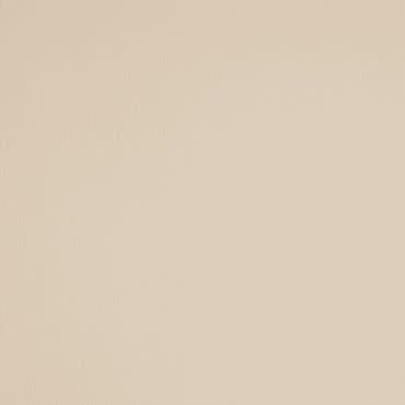Beige textured wall covering centered in frame, showing fine vertical striations and subtle color variation; fills the frame under soft, even lighting, suggesting a neutral interior surface.