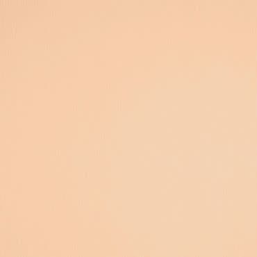 Plain peach-colored rectangular surface with subtle vertical texture, uniformly lit and static, occupying the entire frame; no discernible objects, shadows, or depth, resembling a painted wall or sheet.