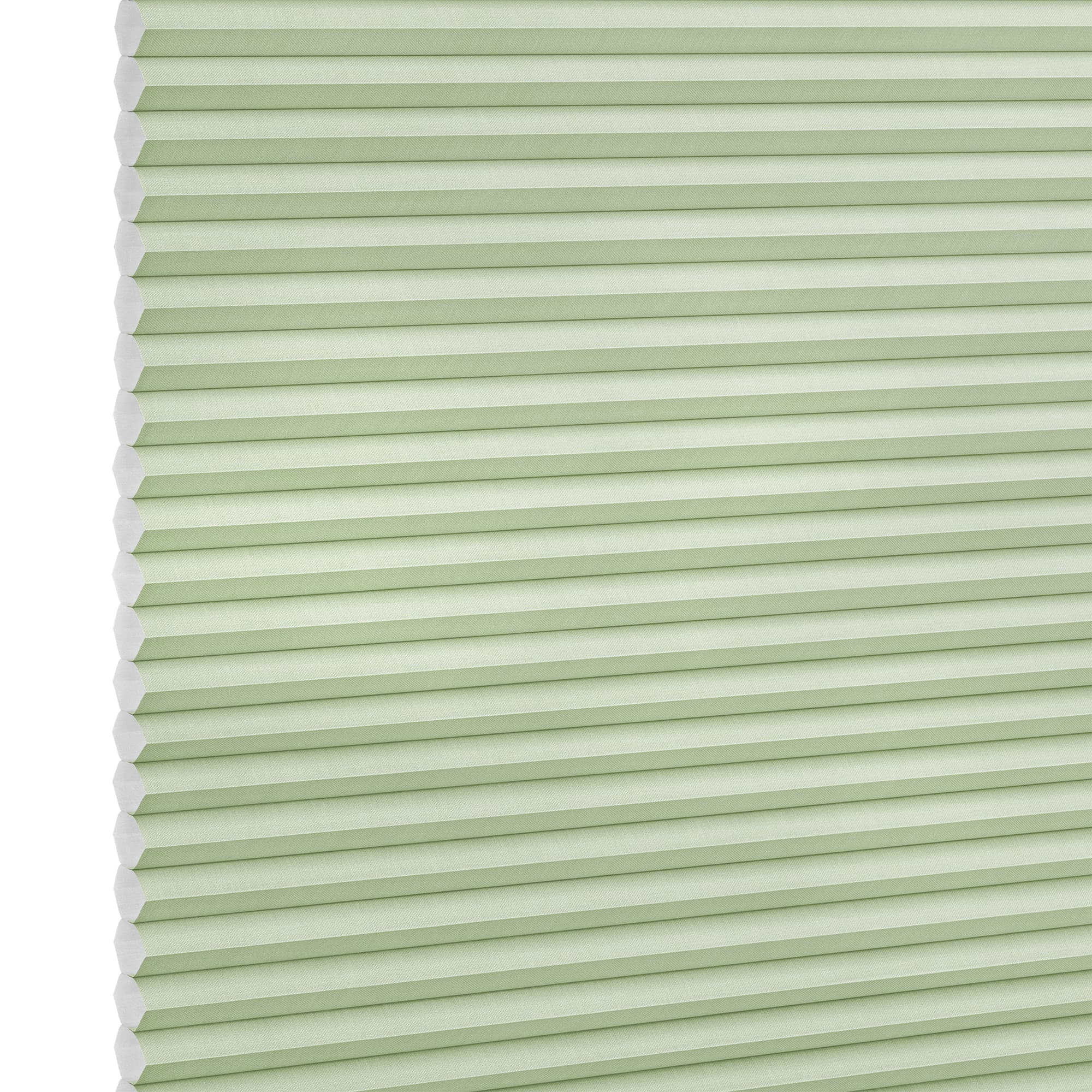 Duette Silk Celery Honeycomb blind