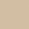 A uniform beige color block fills the frame, appearing as a smooth, featureless swatch with even tone and no visible texture, markings, or distinct objects.