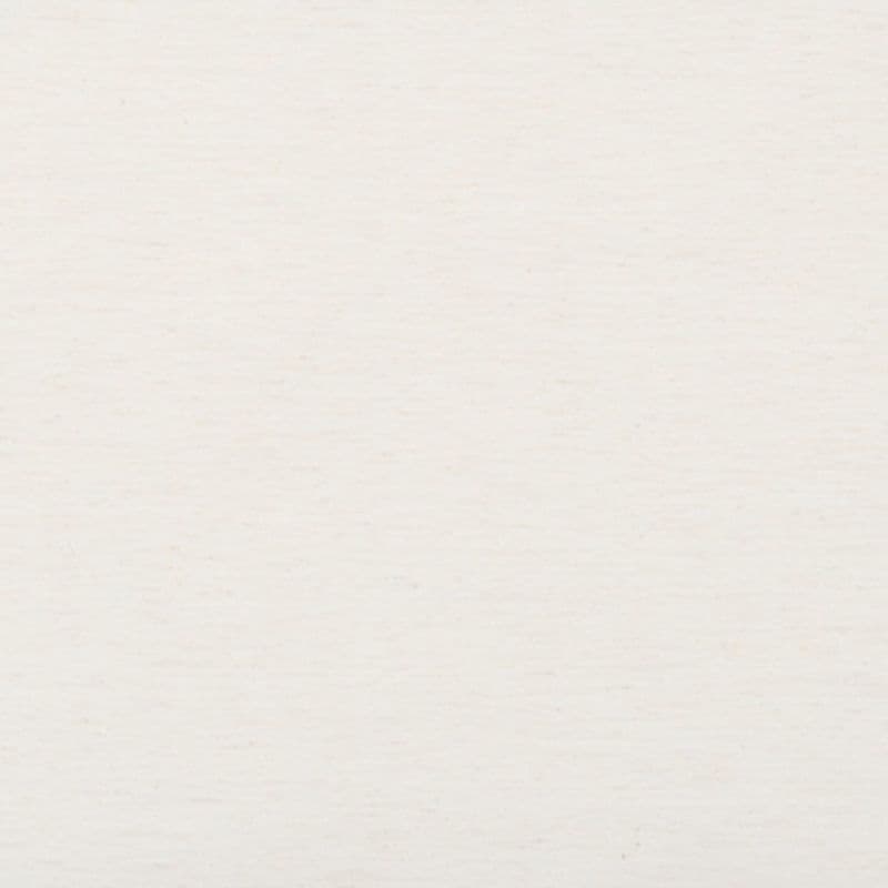 Off-white, slightly speckled paper fills the frame, lying flat and showing fine horizontal grain; neutral, diffuse lighting with no other objects or visible edges.