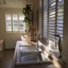 White plantation shutters on two windows, partially open, filtering warm sunlight across a kitchen sink and countertop holding a lamp, trailing potted plant, and decorative bird sculpture.