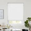 Storm Snow Pleated blind