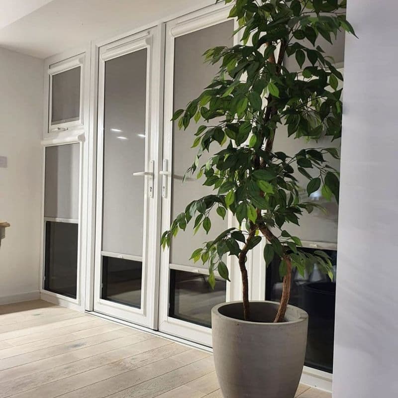 Grey roller blinds installed inside white-framed French doors and side windows, fully lowered and blocking light; modern interior with pale wood floor and a tall potted ficus tree nearby.