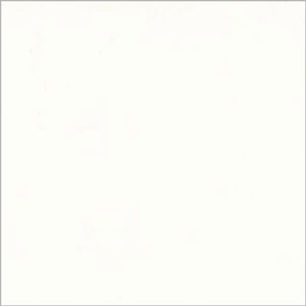 White square panel with a faint gray border centered in frame, blank and uniformly lit, appearing as an empty sheet or canvas against a neutral background.