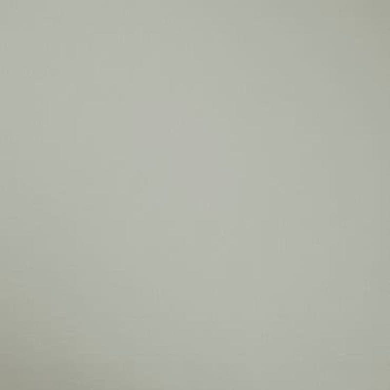 Plain pale gray-green painted wall filling the frame, flat and evenly lit; no visible furniture, fixtures, or windows, suggesting an interior wall under soft, diffuse lighting.