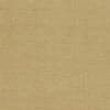 Beige textured paper surface occupying the frame; showing subtle horizontal grain and faint creases, lying flat and evenly lit, resembling aged parchment or a fabric backdrop.