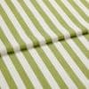 Portofino Stripe Kiwi Roman blind