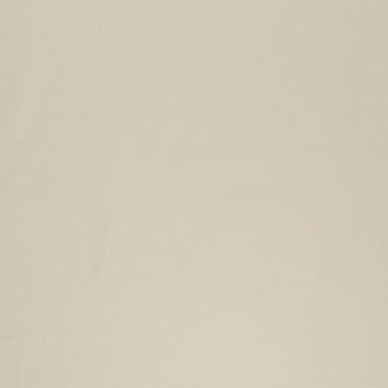 Beige fabric curtain, full-frame and hanging smoothly with subtle woven texture; closed, flat against a window; neutral-lit indoor setting with soft, even lighting and no visible features.