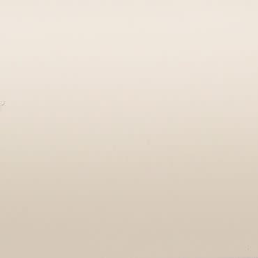 Smooth beige painted wall with minor scuffs—standing bare, evenly lit—interior wall filling the frame in soft diffuse light, no visible furniture or windows.
