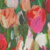 Tulips bloom as broad, gestural brushstrokes across a textured canvas, overlapping vibrant pink, red, orange, and white petals against deep green foliage, creating an impressionistic floral field.
