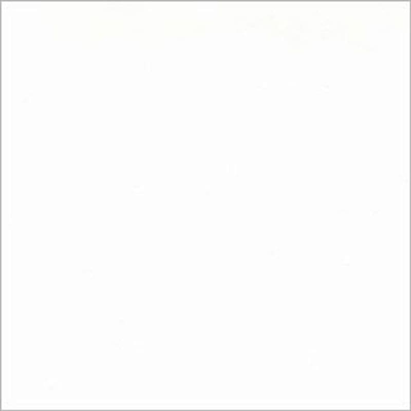 White square panel with a thin gray border — sitting blank and featureless — in an evenly lit, neutral setting resembling a framed blank canvas or page.
