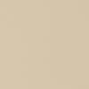 Plain beige surface fills the frame; evenly lit, showing subtle paper-like grain and no discernible features or surrounding context.
