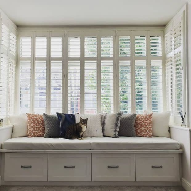 White plantation shutters cover tall bay windows, slatted and partially open to filter daylight; a built-in cushioned bench with patterned pillows and a tabby cat sits in a bright, airy room.