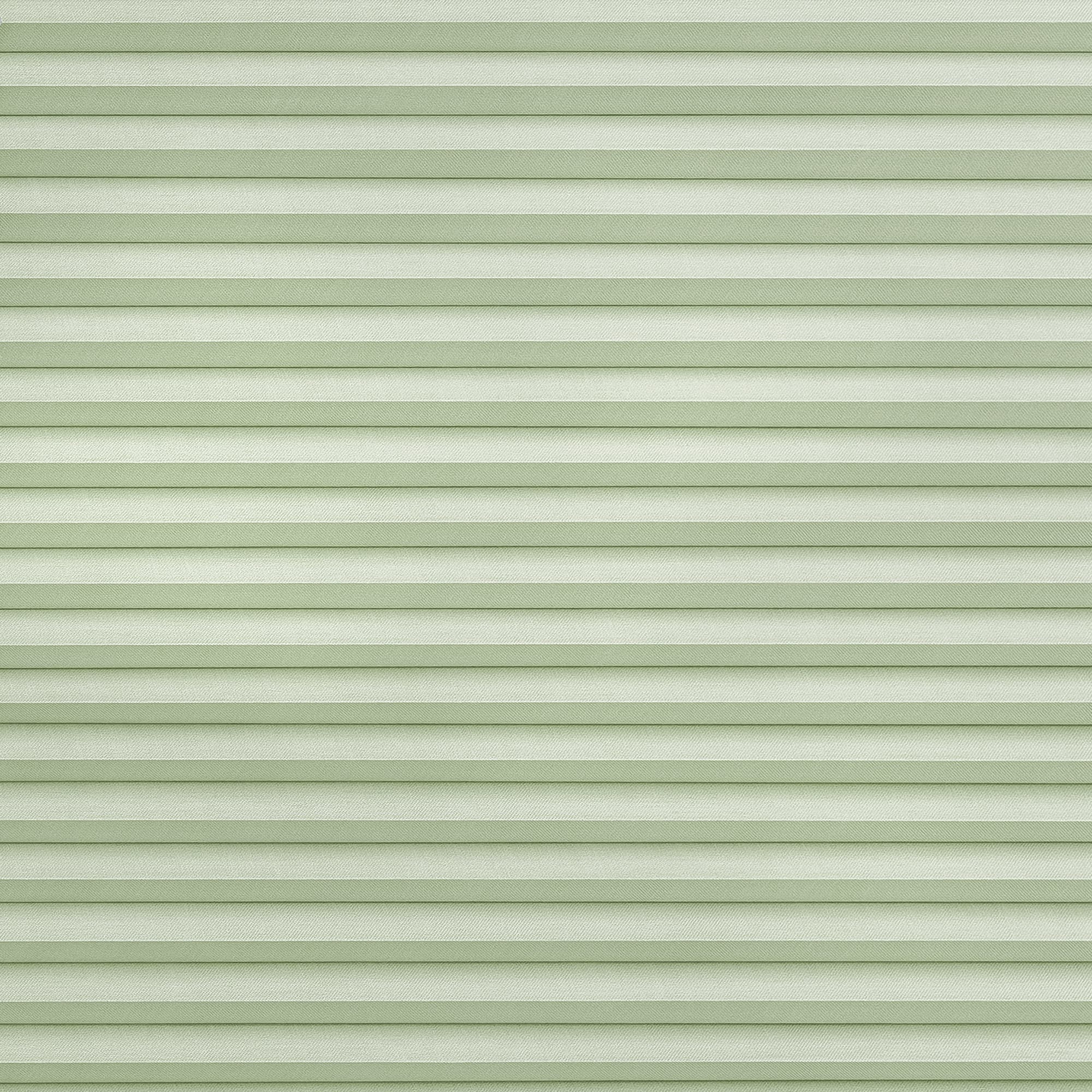 Duette Silk Celery Honeycomb blind