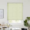 Lumina Sheer Grass Pleated blind