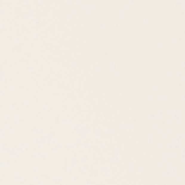 Cream-colored, subtly textured surface (paper or painted wall) fills the frame, appearing blank and unmarked; evenly lit with diffuse light and no discernible surroundings.