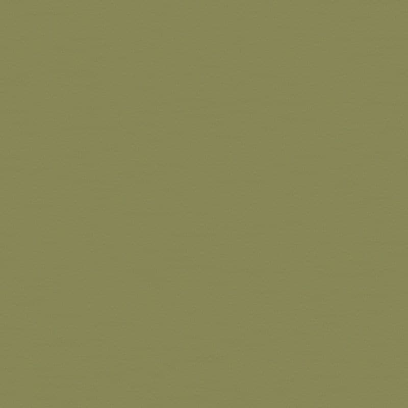 Olive-green textured wall occupying the frame, uniformly lit and stationary; surface shows subtle paper-like grain, filling a neutral interior space with even, diffuse lighting and no visible features.