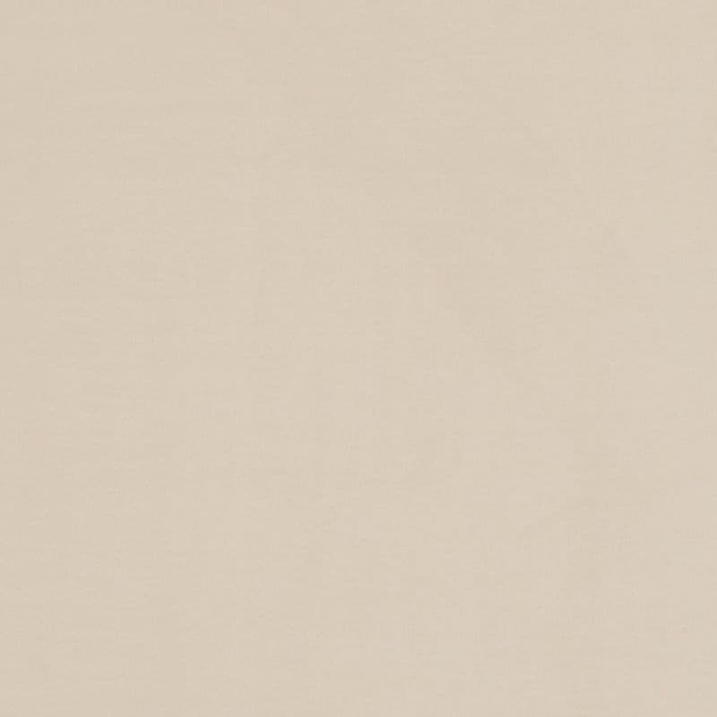 Beige paper-like textured surface with subtle horizontal grain, lying flat and filling the frame; evenly lit, minimal creasing, no distinct objects or shadows.