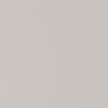 Plain pale gray textured wall filling the frame, displaying subtle fine grain as it uniformly reflects diffuse light, functioning as a neutral, evenly lit backdrop.