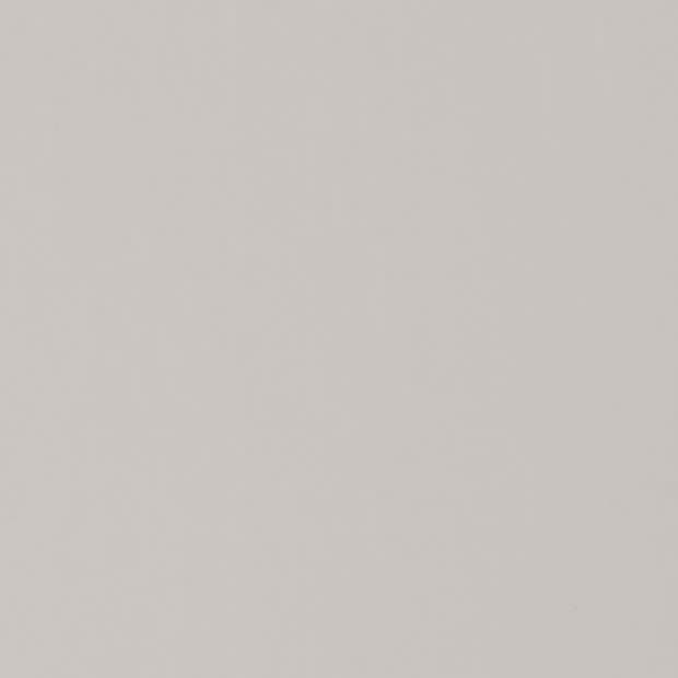 Plain pale gray textured wall filling the frame, displaying subtle fine grain as it uniformly reflects diffuse light, functioning as a neutral, evenly lit backdrop.