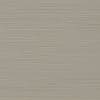 Beige painted surface with fine horizontal striations, displaying subtle linear ridges and brush marks under soft, even lighting in a close-up view.