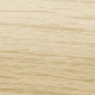 Light beige wood-grain panel with subtle horizontal striations; displaying natural grain pattern across a flat surface; photographed in even, diffuse lighting as a close-up, neutral background.