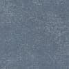 Bluish-gray textured surface lies motionless in a close-up view (context), covered with fine white speckles and subtle uneven grain suggesting worn fabric or painted concrete.